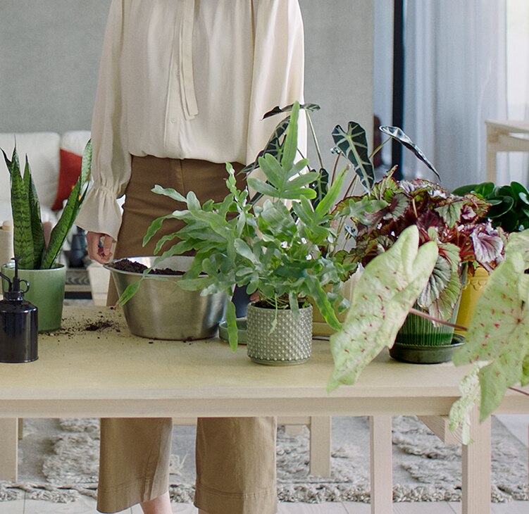 air purifier