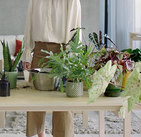air purifier