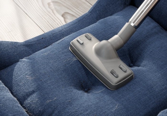 Vacuum head cleaning pet hair from blue sofa