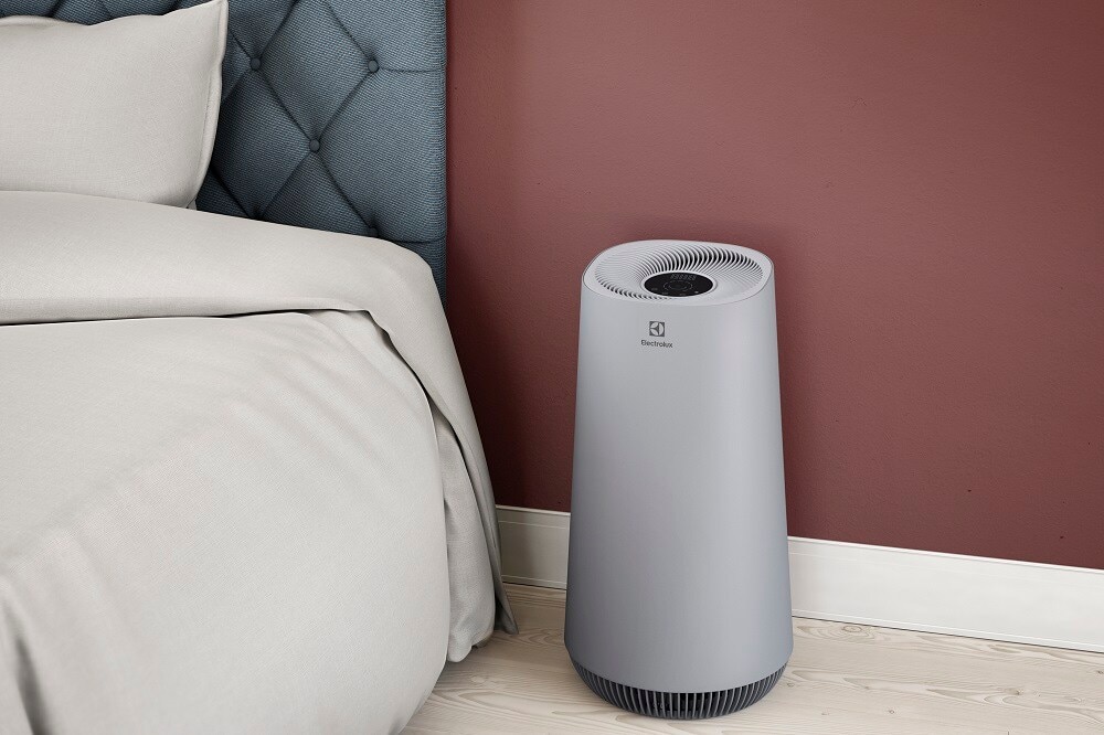 Do Air Purifiers Work?