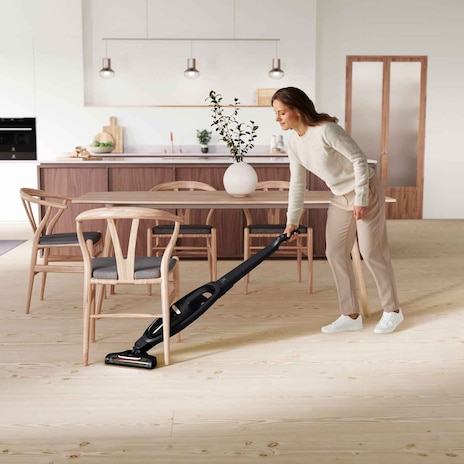 Electrolux WQ61-1EGG Well Q6 self-standing handstick vacuum cleaner - View 2